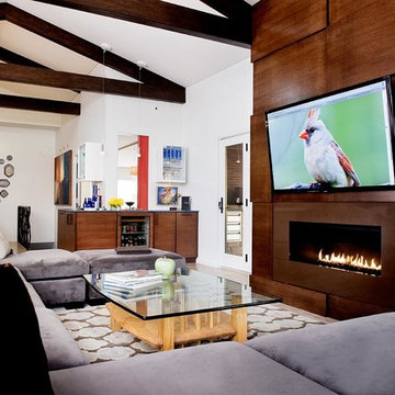Mid Century Modern - Pittsburgh / Mt. Lebanon