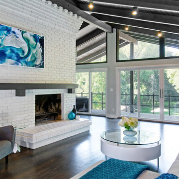 Mid-Century Modern Remodel