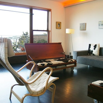 Mid Century Modern Remodel Living Room