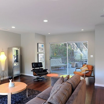 Mid Century Modern Remodel Living Room