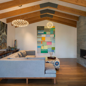 Mid-Century Remodel