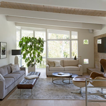 Midcentury Living Room