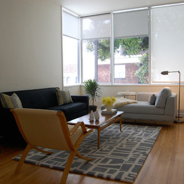 Midcentury Living Room