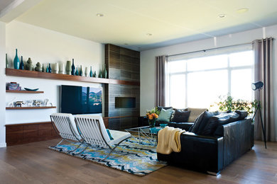 Living room - mid-century modern living room idea in Other