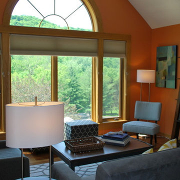 Midcentury Modern Living Room Redesign