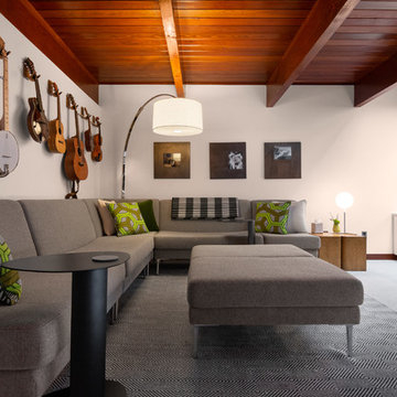 Midcentury Modern Living Rooms