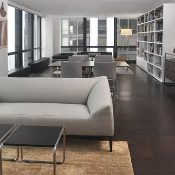 Mies van der Rohe Condo