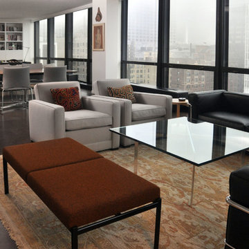 Mies van der Rohe Condo