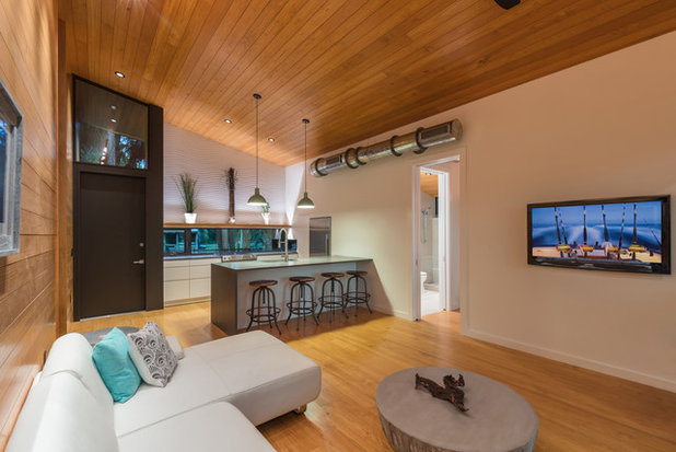 Scandinavian Living Room by Josh Wynne Construction