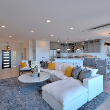 Mill Valley Modern