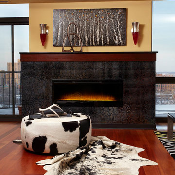 Minneapolis Penthouse