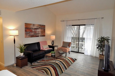 ロサンゼルスにあるお手頃価格の中くらいなコンテンポラリースタイルのおしゃれなリビング (白い壁、ラミネートの床、暖炉なし、据え置き型テレビ、グレーの床) の写真