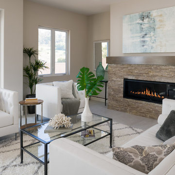 Model home staging 2018 - San Diego, CA