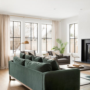 Living room - cottage formal light wood floor living room idea in Minneapolis with white walls, a standard fireplace and no tv