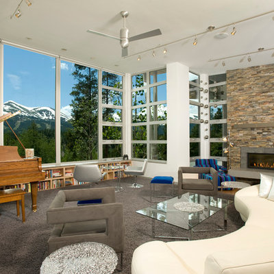 Living room - modern living room idea in Denver with a music area, a ribbon fireplace and no tv