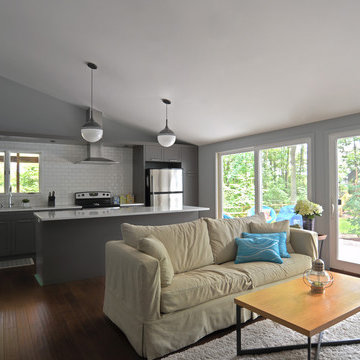 Modern Cabin