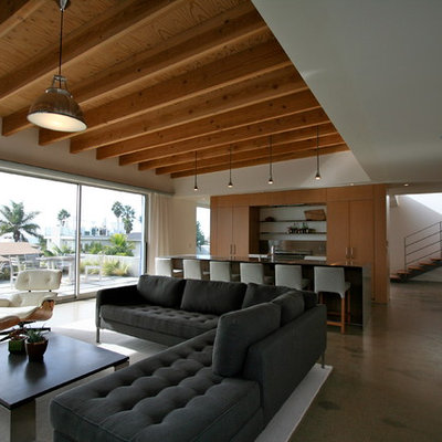 Minimalist open concept concrete floor living room photo in San Diego