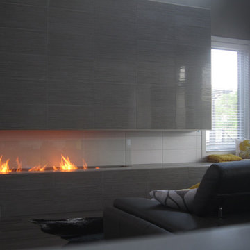 Modern Ethanol Fireplaces