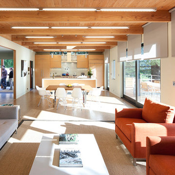 Modern Green Home, Mill Valley, CA