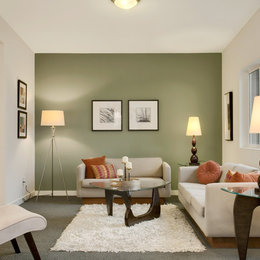 https://www.houzz.com/photos/modern-green-seattle-remodel-transitional-living-room-seattle-phvw-vp~3124810