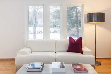 Imagen de salón abierto actual de tamaño medio con paredes blancas, suelo de madera clara y televisor colgado en la pared