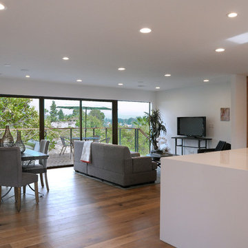 Modern Indoor-Outdoor Great Room