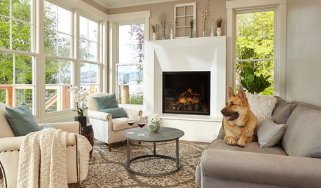 Houzz Call: Show Us Your Pet Lounging at Home by the Fire