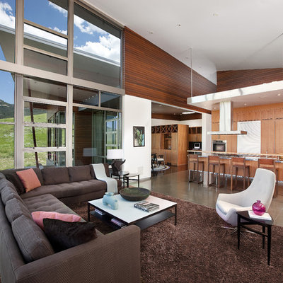 Inspiration for a modern open concept living room remodel in Other