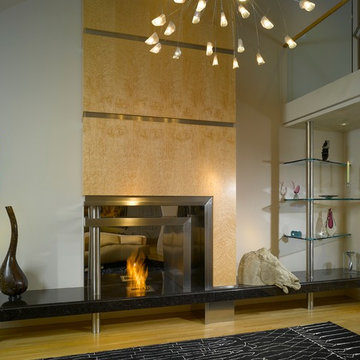 Modern Living Room and Fireplace