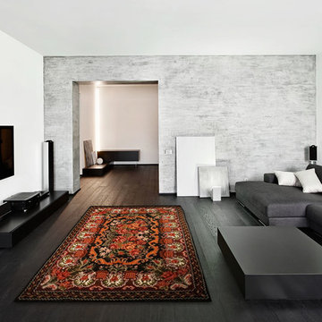 Modern Living Room: Bessarabian Rug