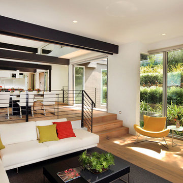 Modern Living Room