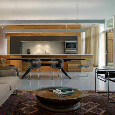Living room - modern open concept living room idea in Other