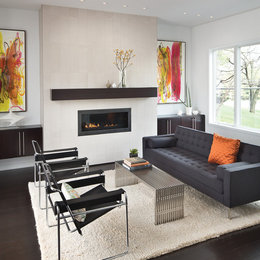 https://www.houzz.com/photos/modern-living-room-for-adults-contemporary-living-room-indianapolis-phvw-vp~6677640