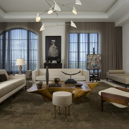 https://www.houzz.com/photos/modern-living-room-modern-living-room-atlanta-phvw-vp~1942895