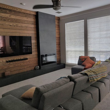 Modern Living Room Remodel