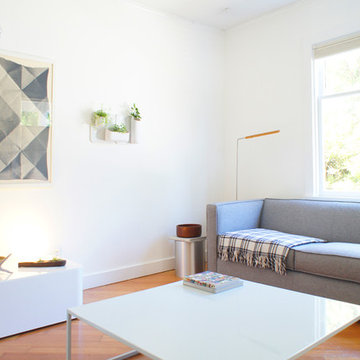Modern Living Room