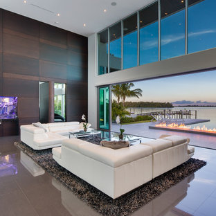 Modern Fish Tanks Living Room Ideas Photos Houzz