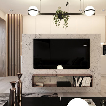Modern Style Apartment Interior Design