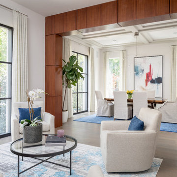 Modern/transitional