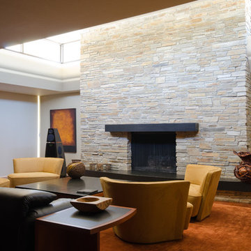 Modern Transitional Living Room