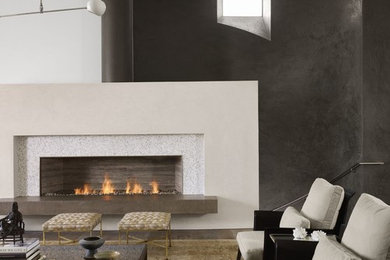 Trendy living room photo in Austin with black walls, a ribbon fireplace and no tv