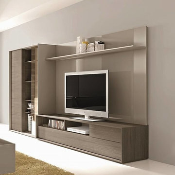Modern Wall Unit Composition 221