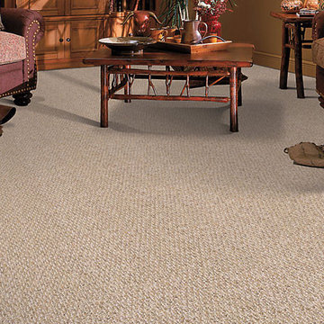 Mohawk Carpet