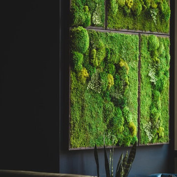 Moss wall, vertical garden