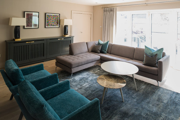 Transitional Living Room by Jane Higgins Home Design