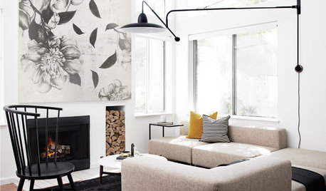 Houzz Tour: High Contrast Shakes Up a Townhouse