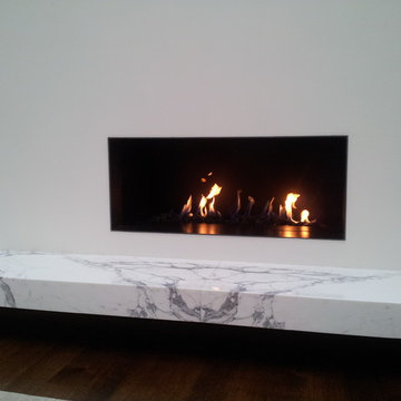 Multiple Fireplace building or repfacing projects