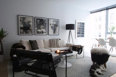 My Houzz: Chicago Condo Is a Change of Scene