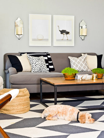 コンテンポラリー リビング My Houzz: Feminine Chic Charms in a Chicago Rental