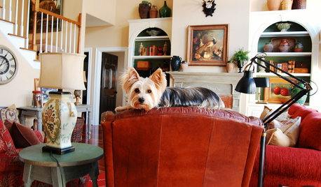 The Best of My Houzz: 50 Design-Loving Pets